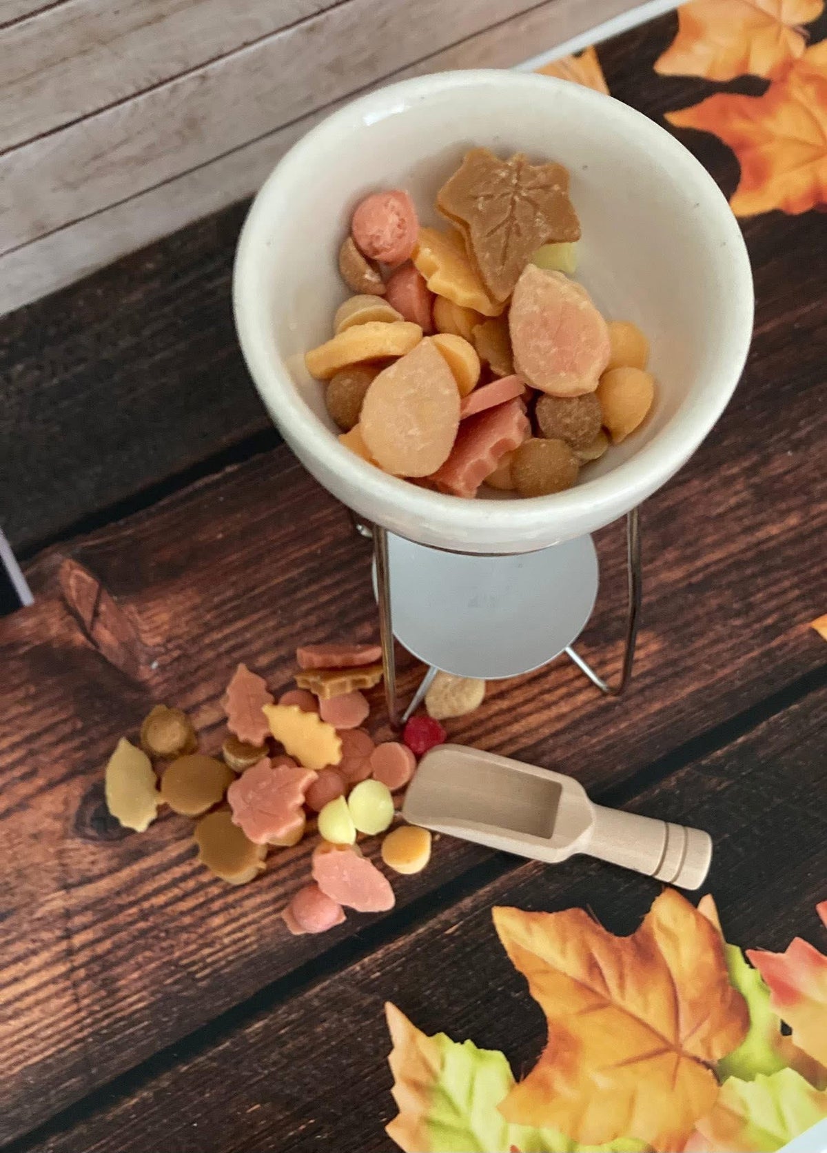 Autumn & Halloween Collection