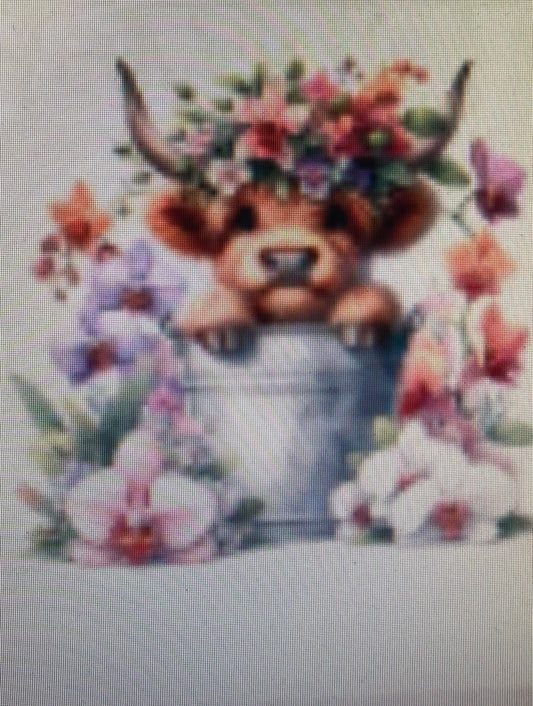 Highland Cow Car Freshner's